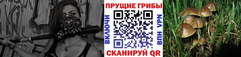 Галлюциногенные грибы мицелий Льгов